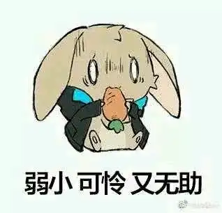  明日方舟表情包,阿米驴篇