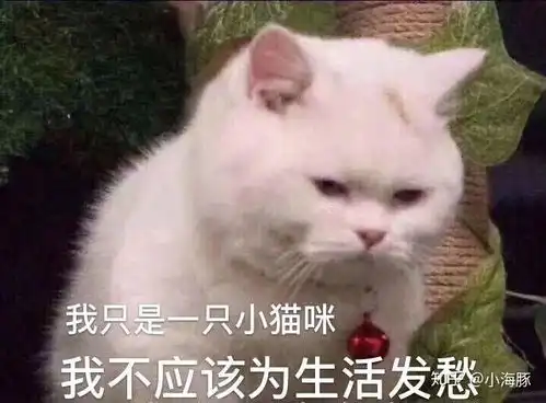  怎么样中考考体育是不紧张明天考体育紧张死了怕自己发挥不好