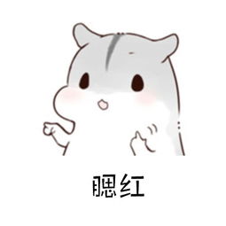  搞笑妹子表情包