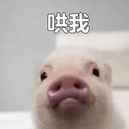  iphone壁纸微信表情包男生女生喜欢的都有