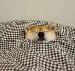 福建人棉衣请裹紧罗源结霜了今晨福州气温再创下半年新低16个乡镇集体跌破0 福建人棉衣请裹紧罗源结霜了今晨福州气温再创下半年新低16个乡镇集体跌破0