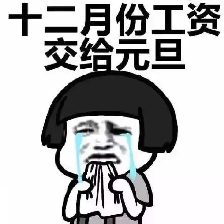  戏精不要问我工资都去哪了,能活下来就是奇迹了