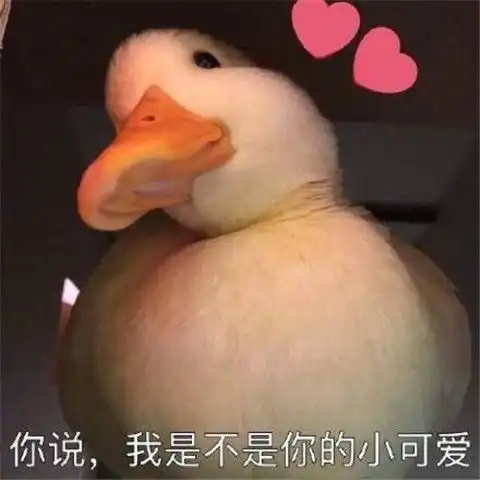 小黄鸭表情包gif图鸭鸭