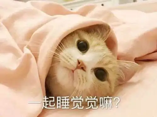  想要迅速减掉疫情期间长的肉,这个方法可能是唯一的出路了