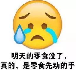做表情包的手机软件饼干