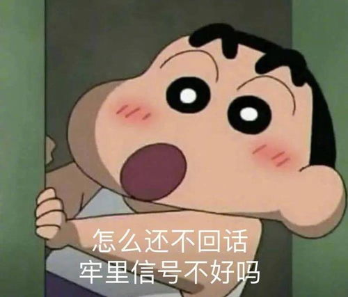 吃薯片的表情包白点儿