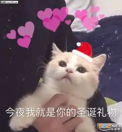  今夜我就是你的圣诞礼物喜欢吗图片我能和你过圣诞节吗表情包下载乐游网游戏下载