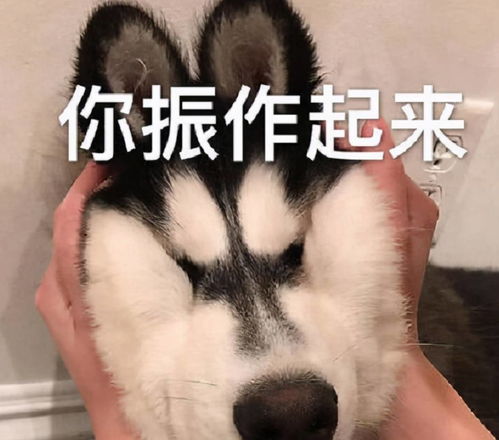  爸,我今晚要去男朋友家睡,这位家长的回答,值得父母们学习