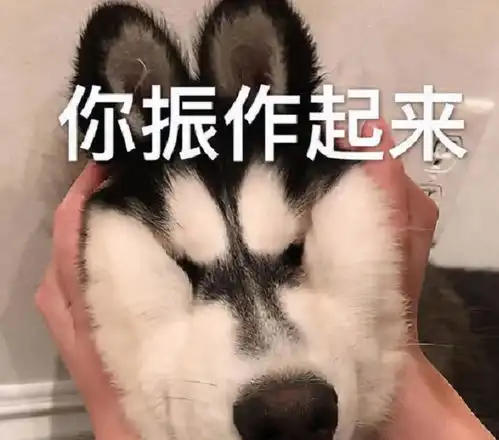  爸,我今晚要去男朋友家睡,这位家长的回答,值得父母们学习