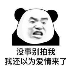  表情包还是沙雕熊猫头好使