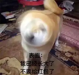 柴犬带字表情包不讲道理