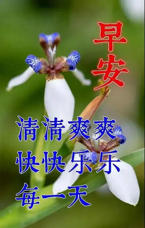  大年初十早上好动态表情图片大全正月初十祝福动画表情包图片