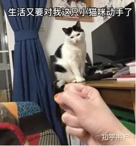  90后的老阿姨该做些什么才能有效抗衰老