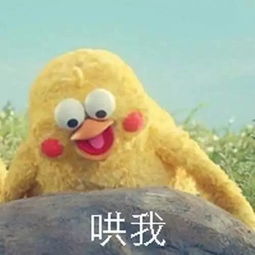  表情包每日更新,我就问你爱不爱我