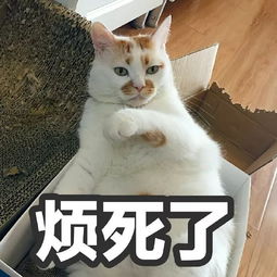  我的表情包去世了搜狐宠物搜狐网