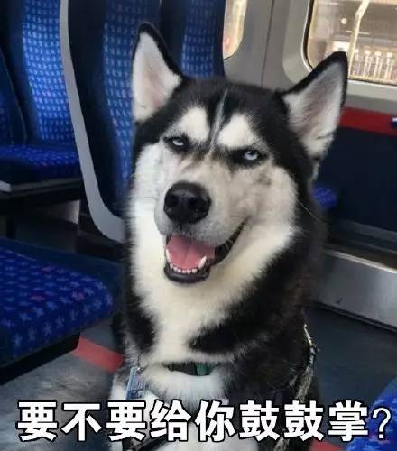 二哈表情包原型meiko