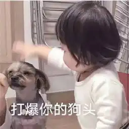  韩国小女孩罗熙生气表情包大全罗熙生气表情包可爱带字
