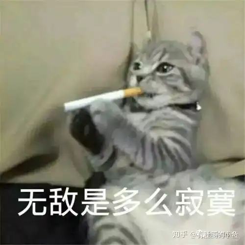  现在的猫怎么都不埋屎了