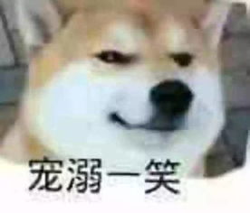  它的表情已成过去这只著名的表情包柴犬去世了