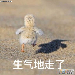  宝贝入我怀鸭子表情包图片大全生气地走了鸭鸭表情包下载乐游网游戏下载