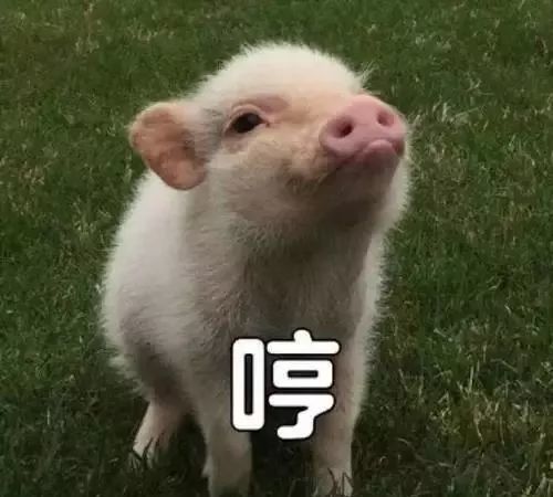  92汽油不久将陆续停售钟祥迎来新型汽油时代你准备好了吗