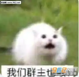  我们群主敢日五档电风扇表情包我们群主敢日表情包下载乐游网游戏下载