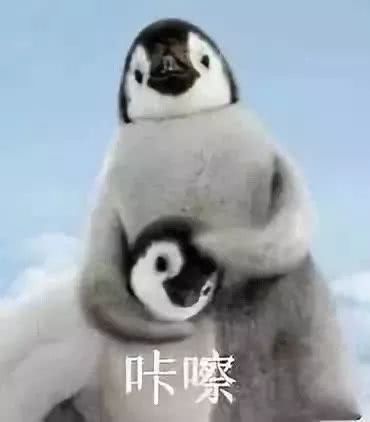  逆转熬夜肌这几款大牌c位力推品真能为肌肤补觉吗
