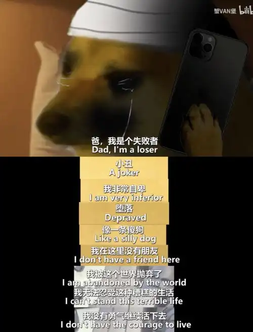 柴犬斜眼表情包ems