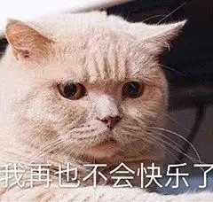 斗图动图表情包猫猫
