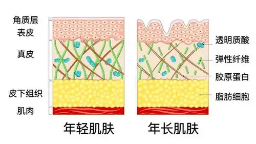 哈哈大笑表情包动态眉间纹