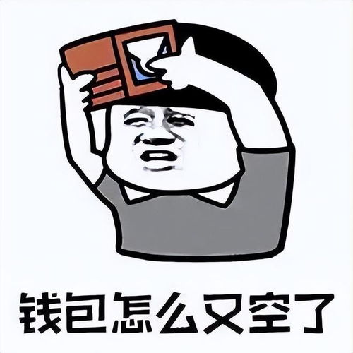  钱包告急揭秘卷翻天酒店背后的真相