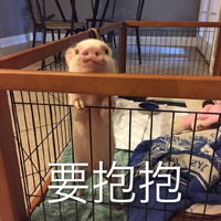  95后小时候最爱吃的雪糕,00后都没见过,你还记得几种