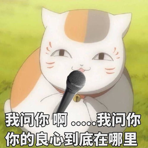 求可爱猫猫的表情包,谢谢啦