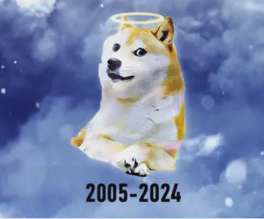  再见doge神烦狗表情包原型柴犬kabosu离世