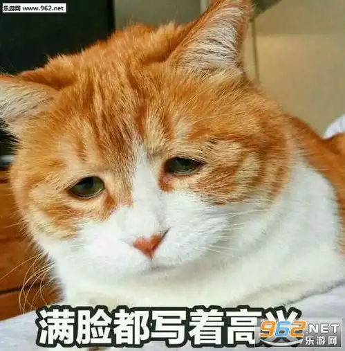  满脸都写着高兴表情包忧伤猫表情包下载乐游网游戏下载