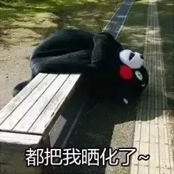  关注风雨雷电交加,你在哪里看海