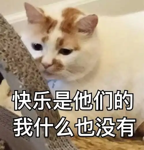  lol这款皮肤在国服已现身,加了两个字身价瞬间翻了一番
