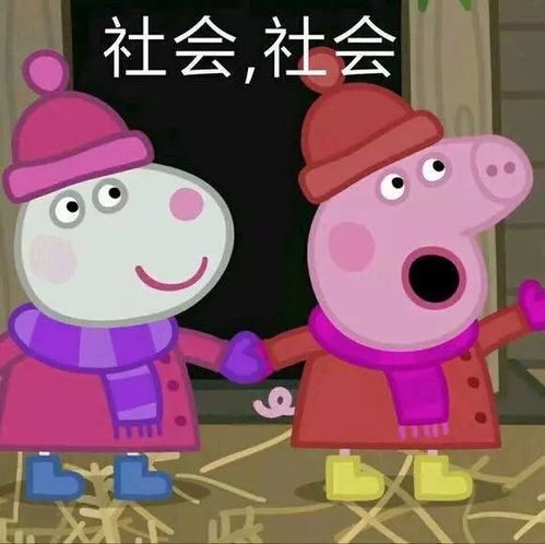  郑州人也太小猪佩奇了吧