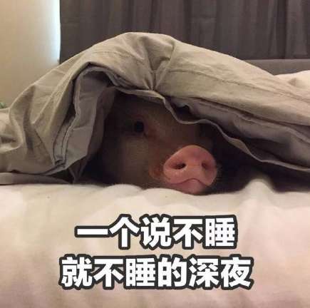  无水印假期表情包大全放假的我图集