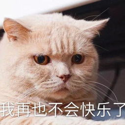  外网总结中国留学生标配开宝马穿offwhite还爱扎堆评论区吵翻天....