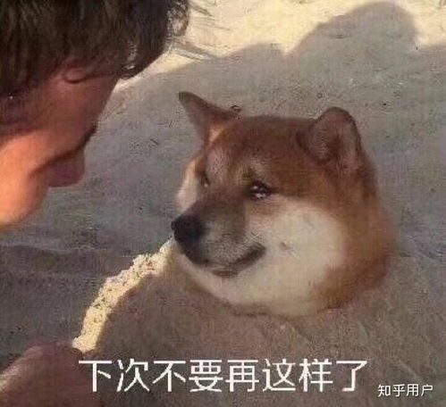 马宝国闪电五连鞭表情包
