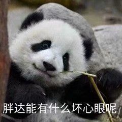  520沙雕文案合集