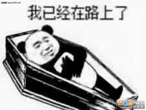  熊猫头躺棺材表情包人间不值得棺材表情包图片下载乐游网游戏下载