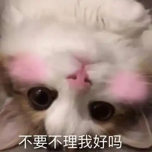  好价switch游戏卡带justdance2020舞力全开
