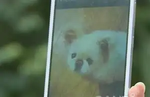  精选图片帖蒙城论坛第3页