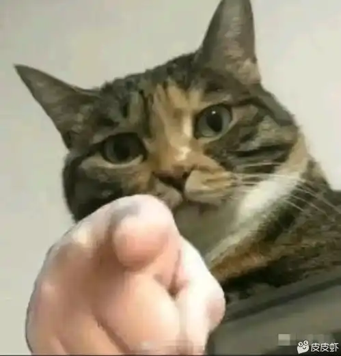  邀请码