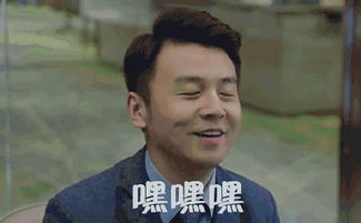  我的前半生追剧结束了佳美好戏开始了