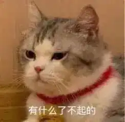  沙雕斗图表情包不要玩了,陪陪我吧