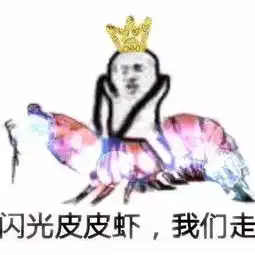  爆红的皮皮虾,我们走到底是什么鬼