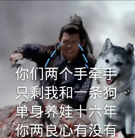  大小姐的日记小叔叔唯一不曾想过伤害的人六